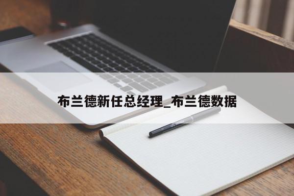 布兰德新任总经理_布兰德数据