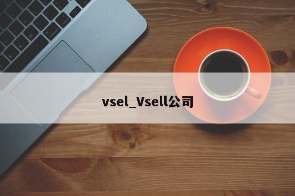 vsel_Vsell公司