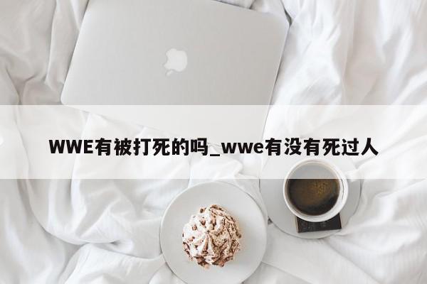 WWE有被打死的吗_wwe有没有死过人